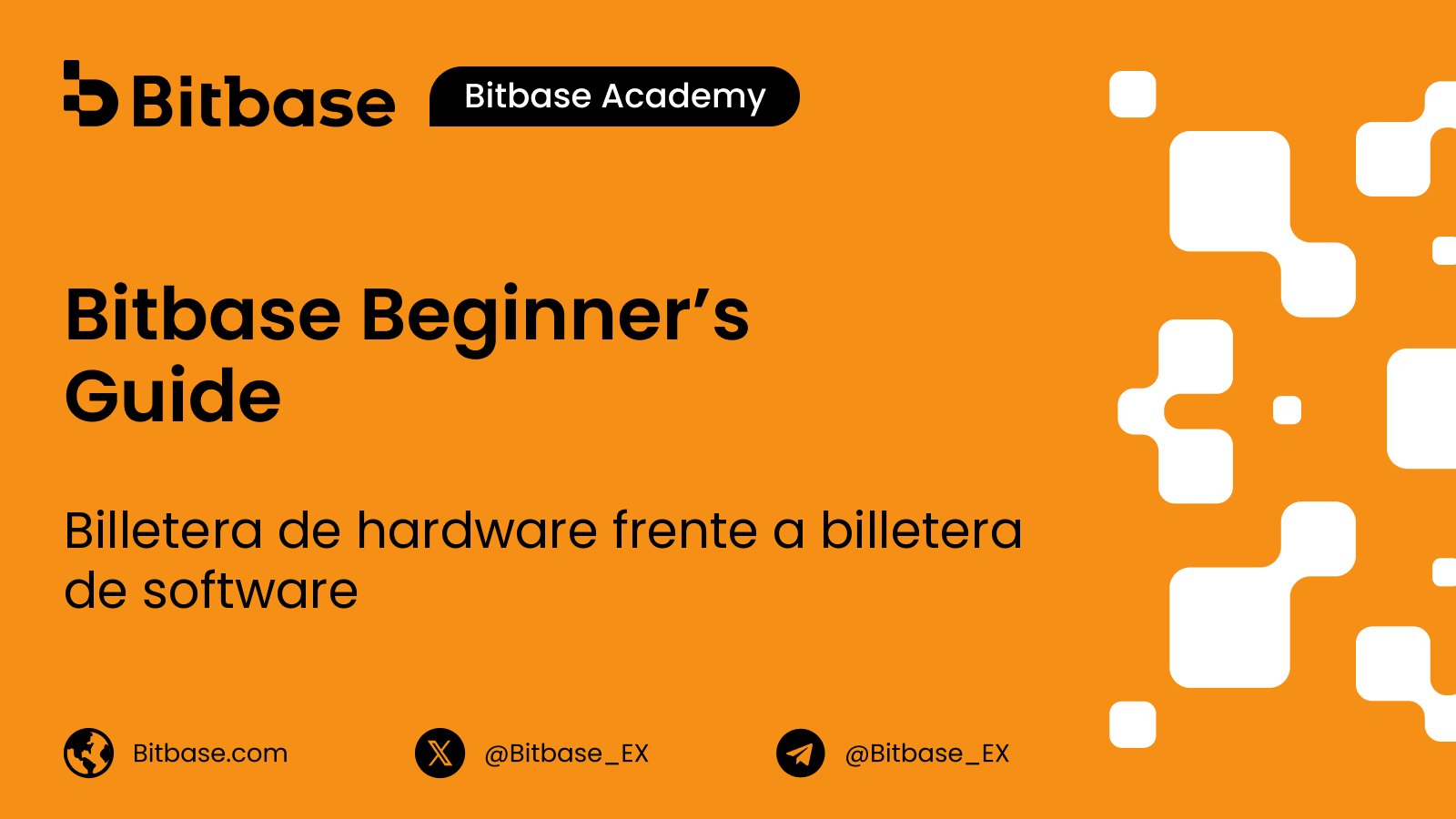 Billetera de hardware vs. software: ¿cuál elegir?