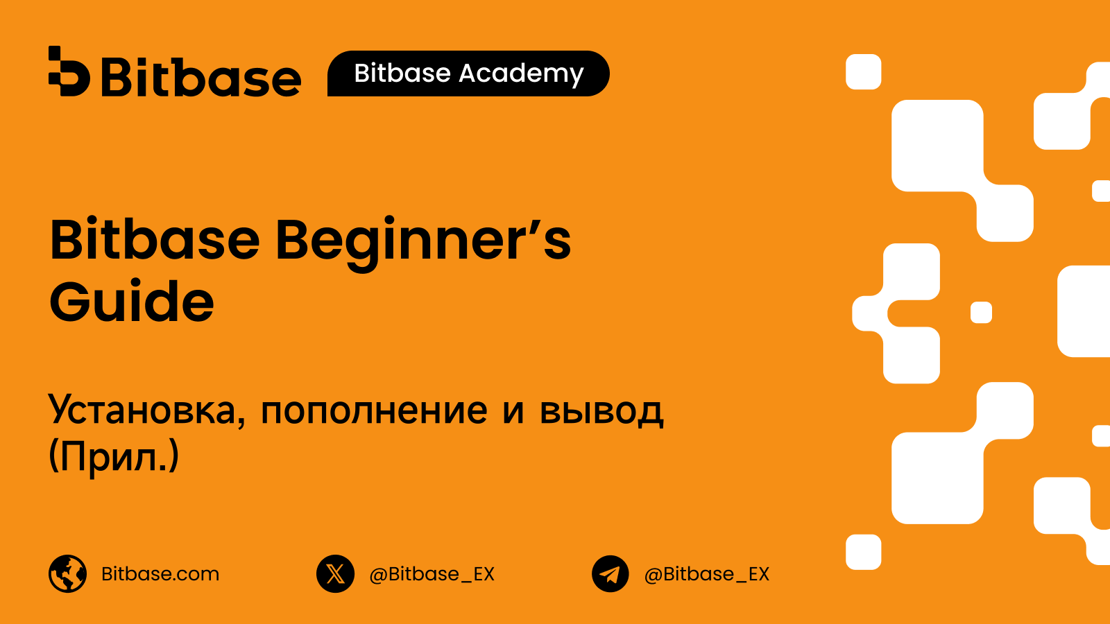 Как скачать приложение, пополнить счёт и вывести криптовалюту на Bitbase (Приложение)
