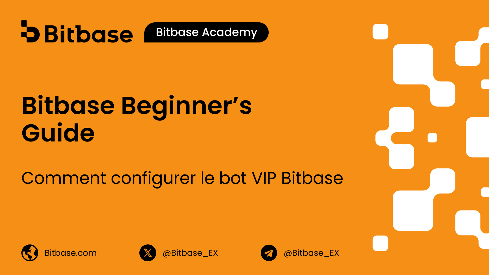 Comment configurer le bot VIP Bitbase (Telegram et Discord)