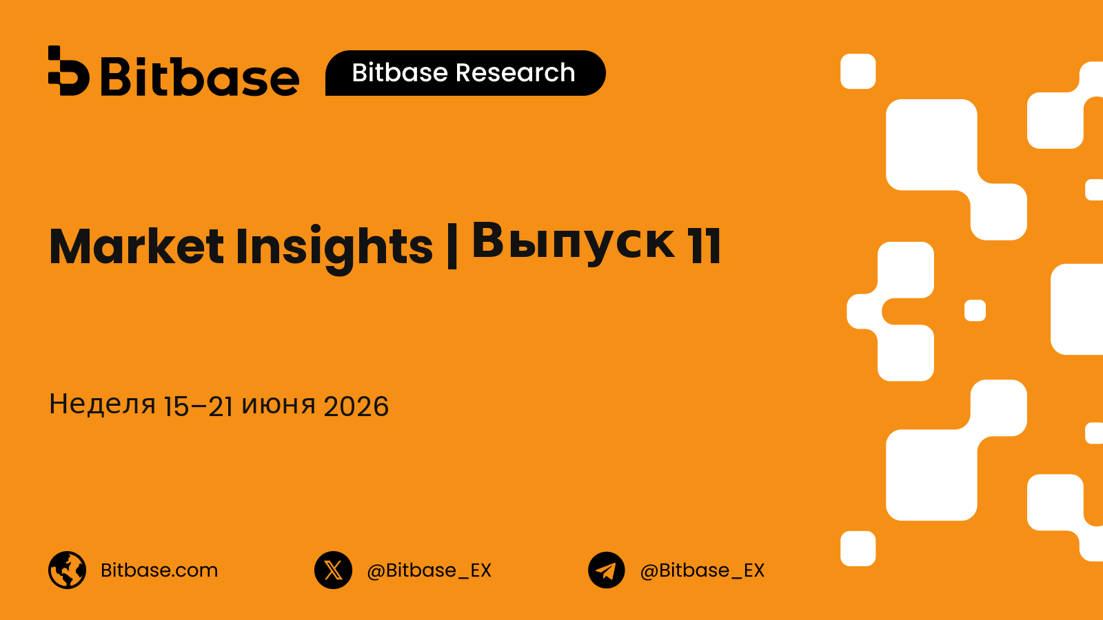Market Insights | Выпуск 11