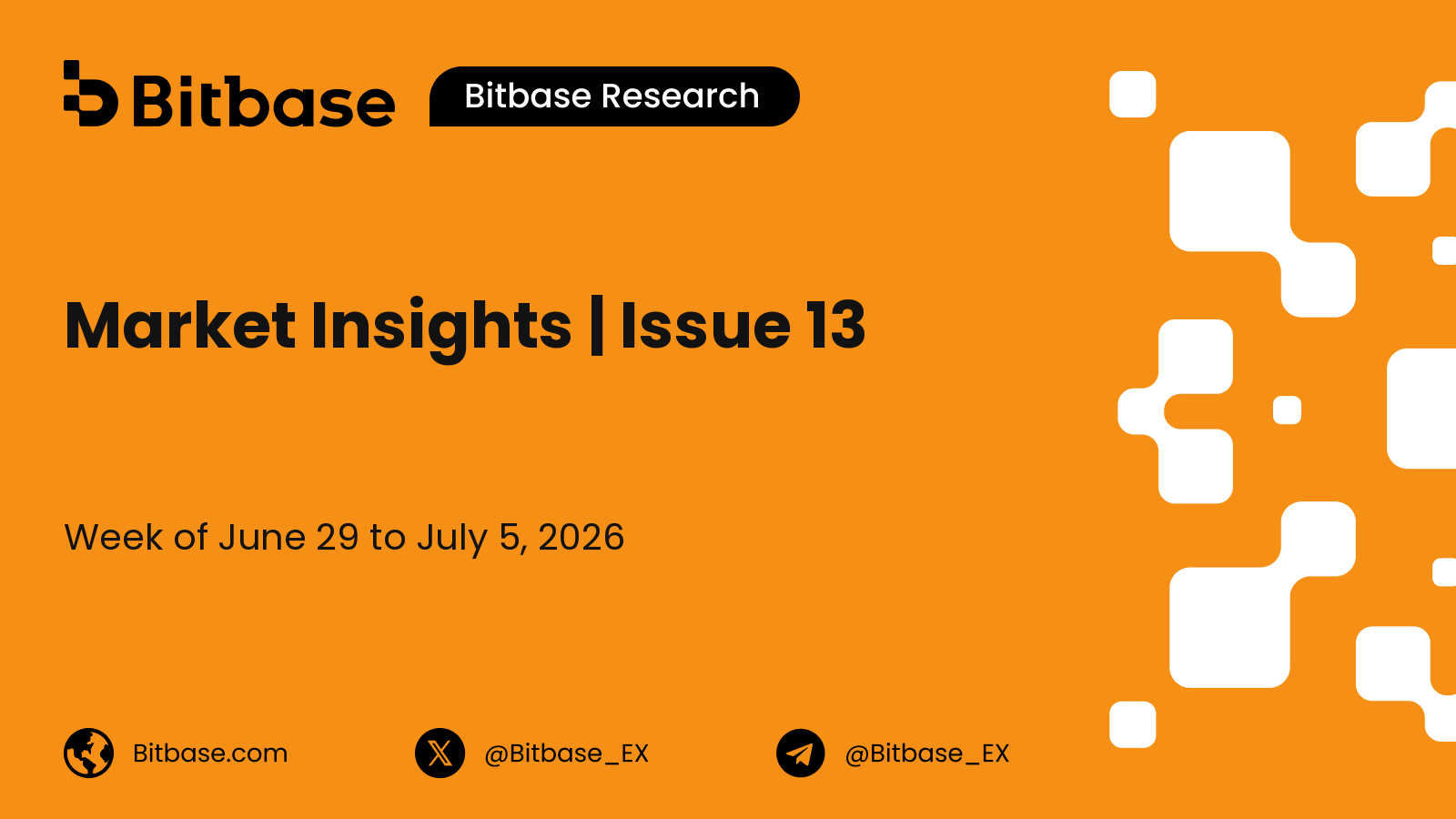 Market Insights | Issue 13