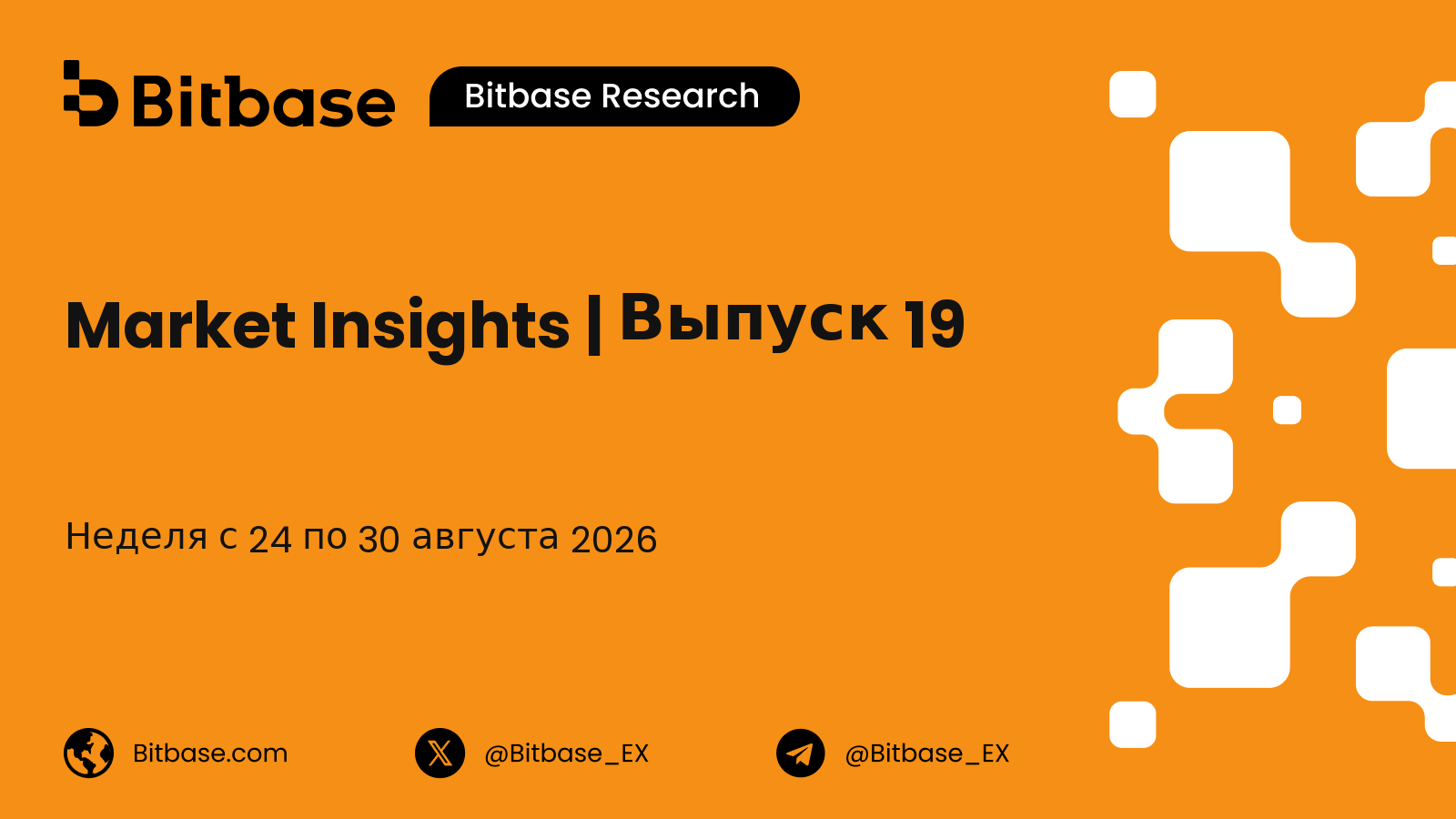 Market Insights | Выпуск 19