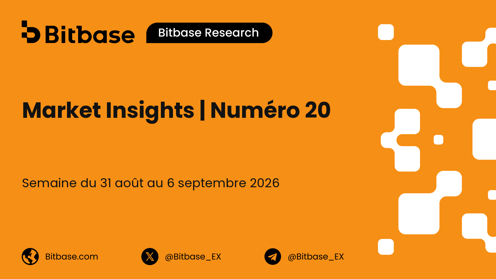 Market Insights | Numéro 20