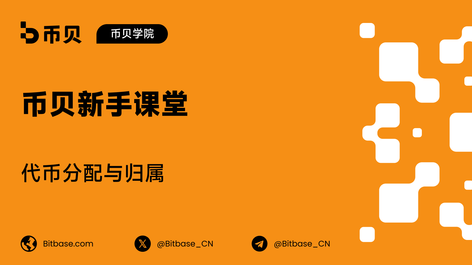 代币分配与归属