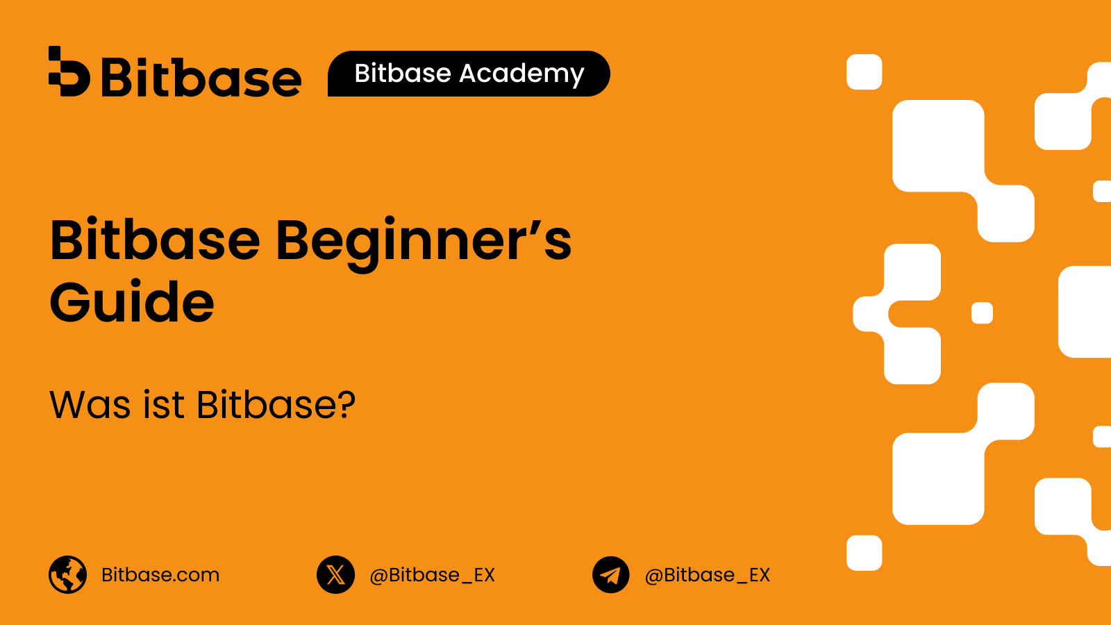Was ist Bitbase? Die Börse, das Unternehmen und was sich handeln lässt
