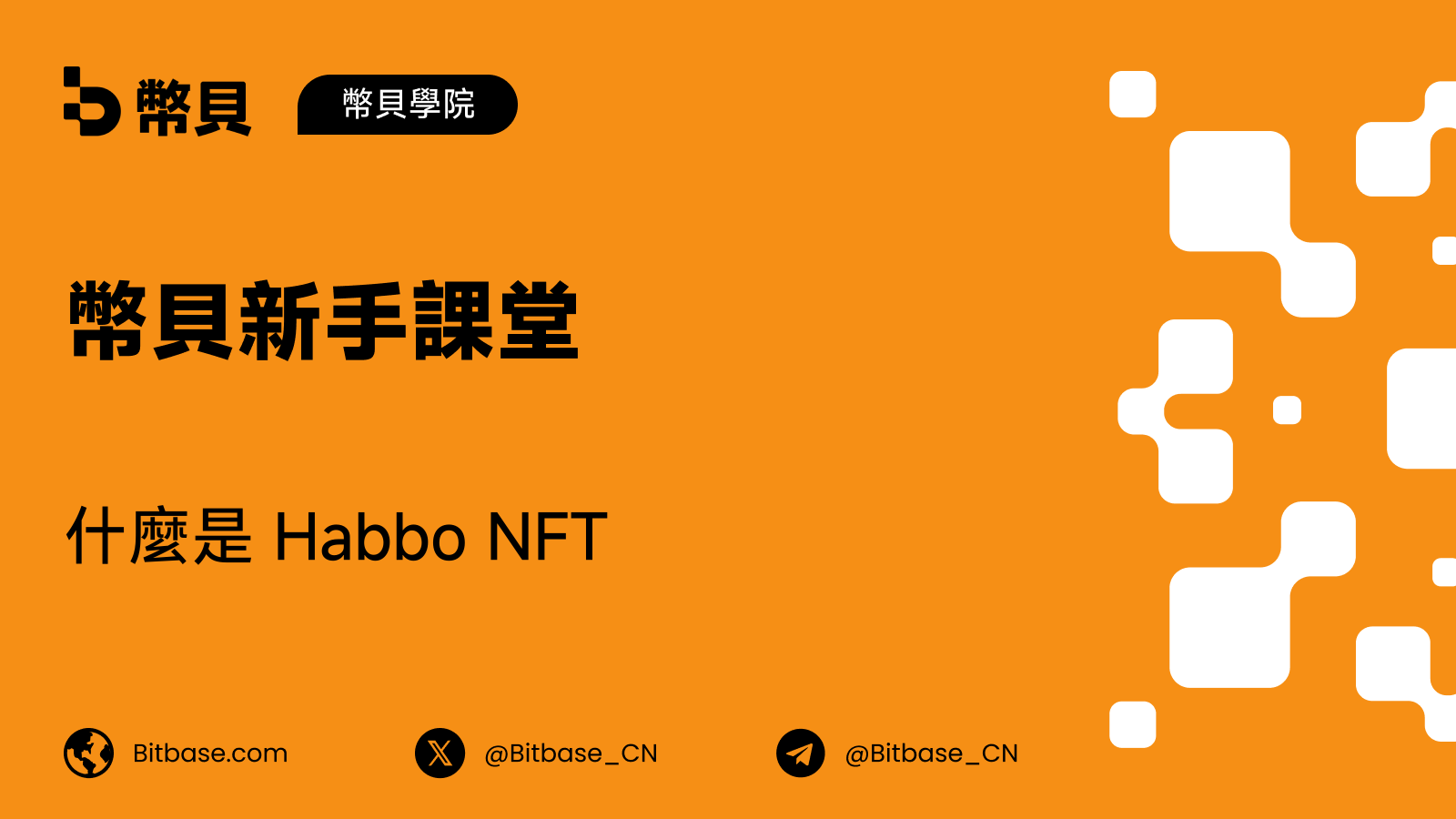 什麼是 Habbo NFT:理解官方數碼收藏品計劃的界線