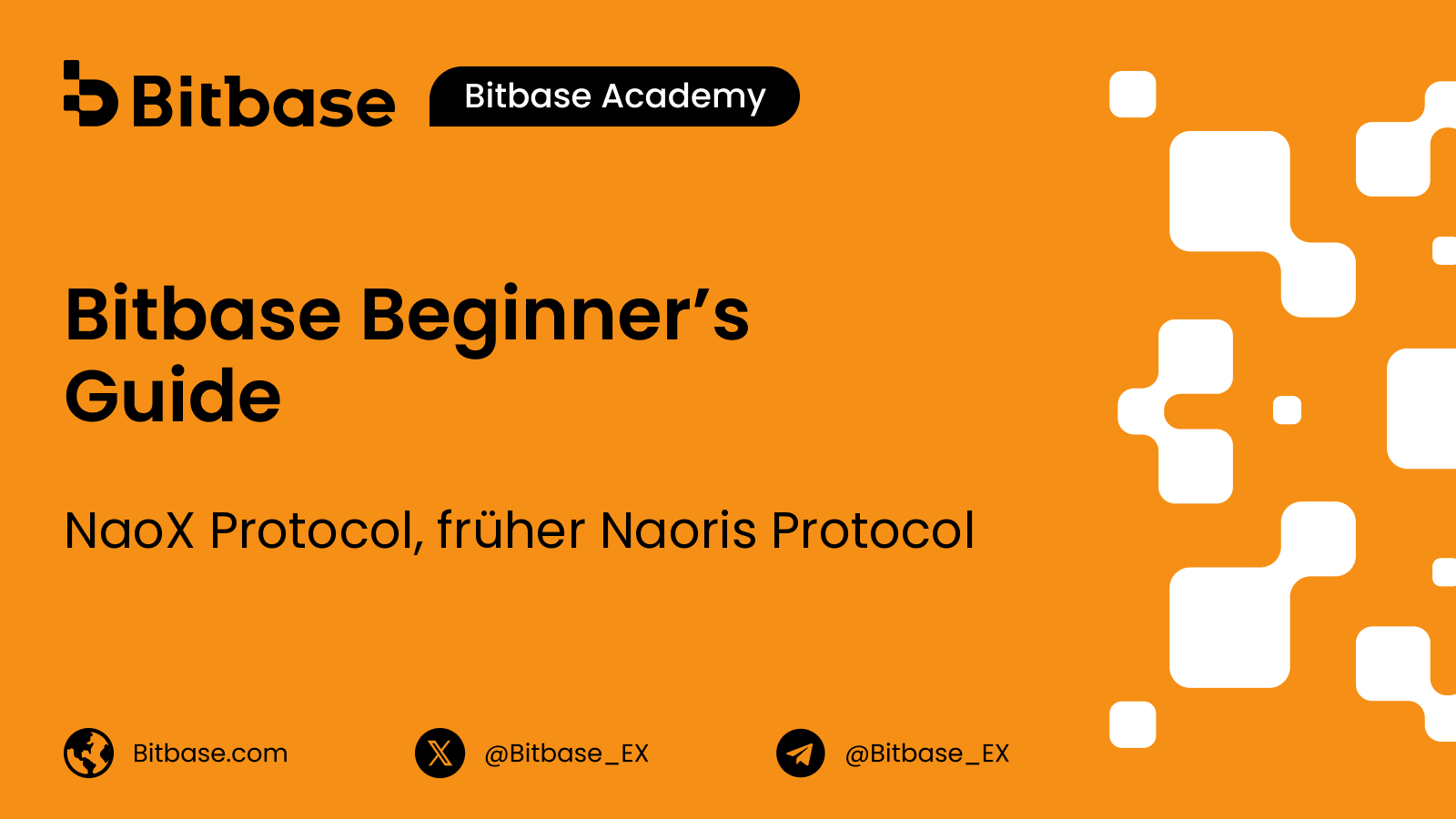 NaoX Protocol, früher Naoris Protocol: ein postquantensicherer Layer 1 und der NAORIS-Token