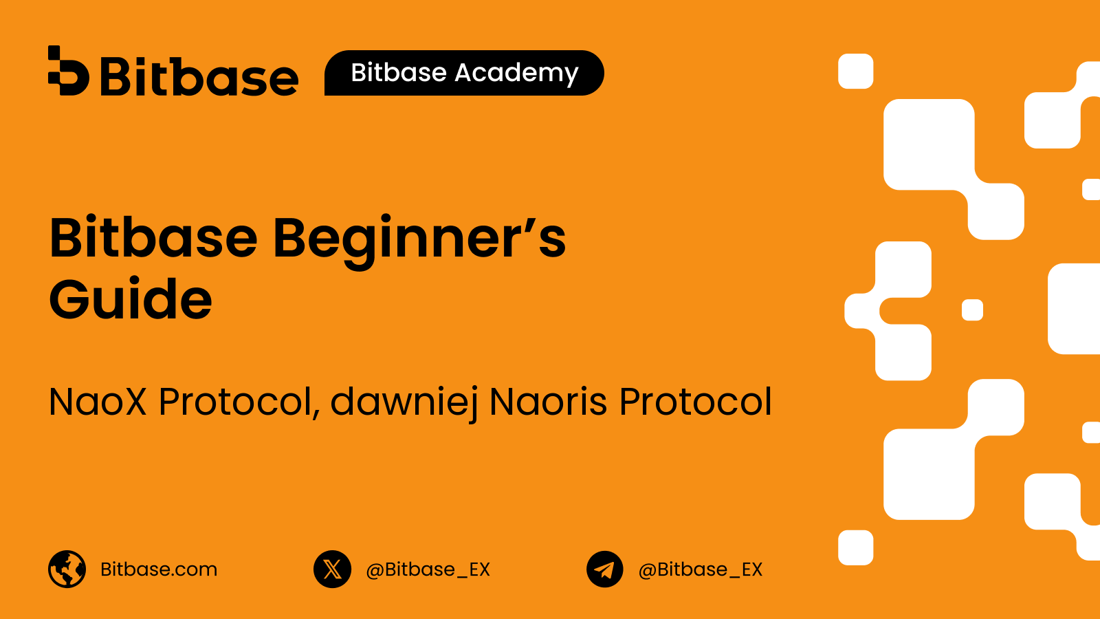 NaoX Protocol, dawniej Naoris Protocol: postkwantowy Layer 1 i token NAORIS