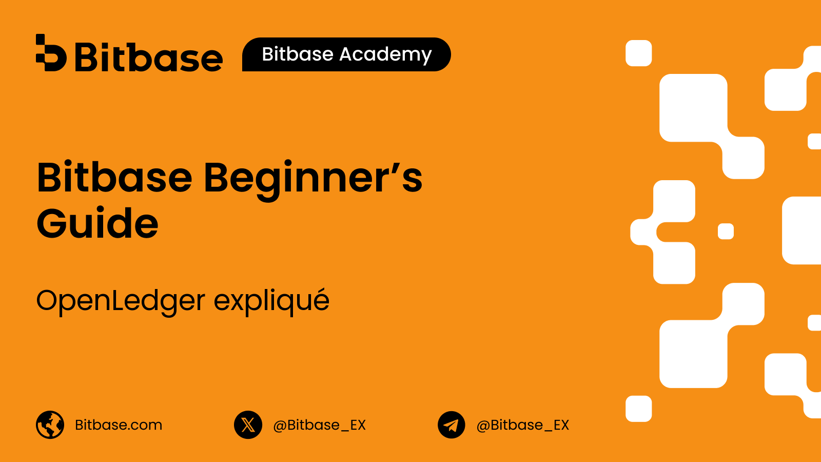 OpenLedger expliqué