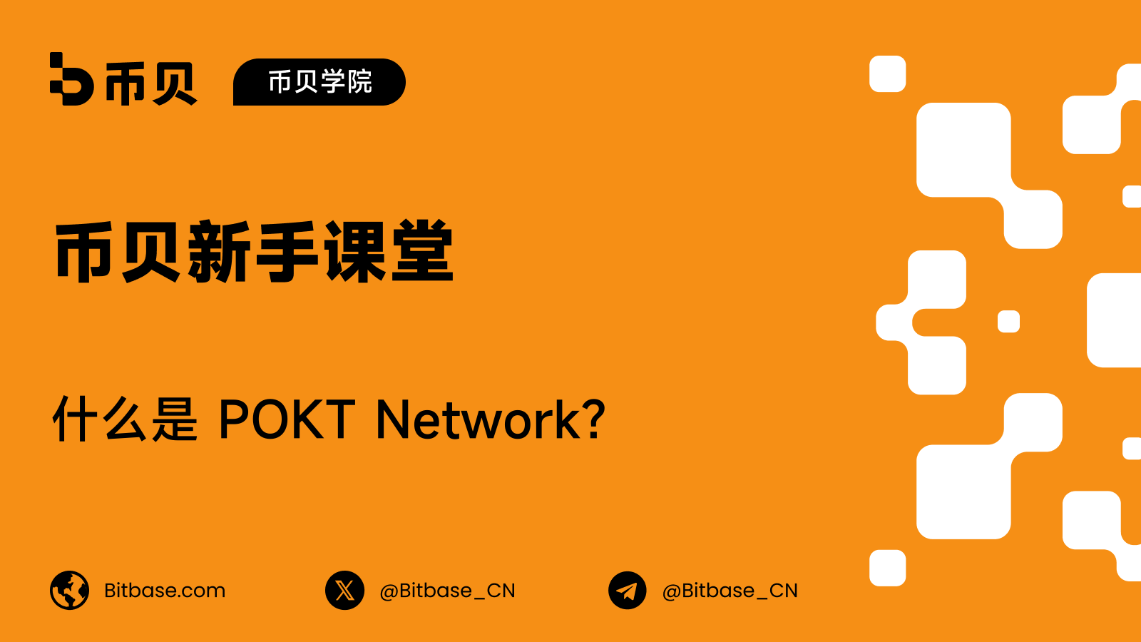 什么是 POKT Network?