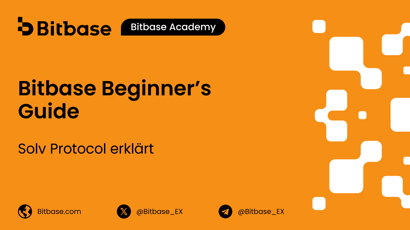 Solv Protocol erklärt
